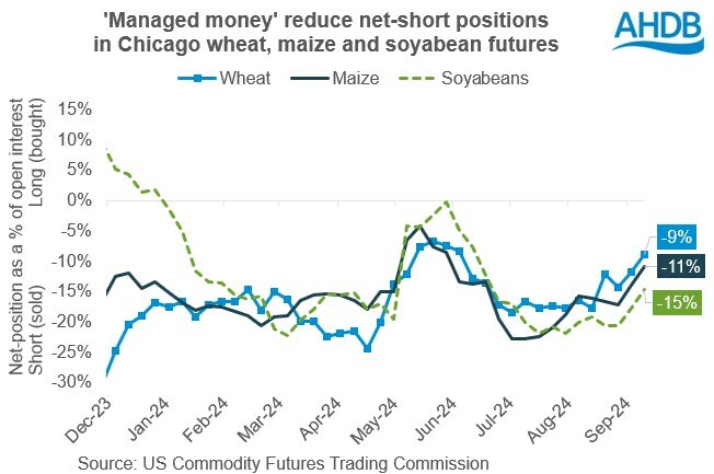 Chart showing the positions held by 'managed money' in Chicago wheat, maize and soyabean futures